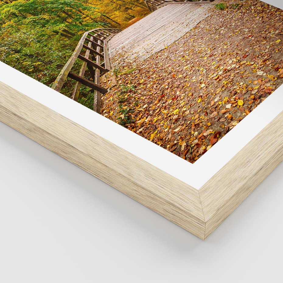 Plakat w ramie 50x70 - Spacer Ścieżką w Las - ścieżka, spacer - rama drewno