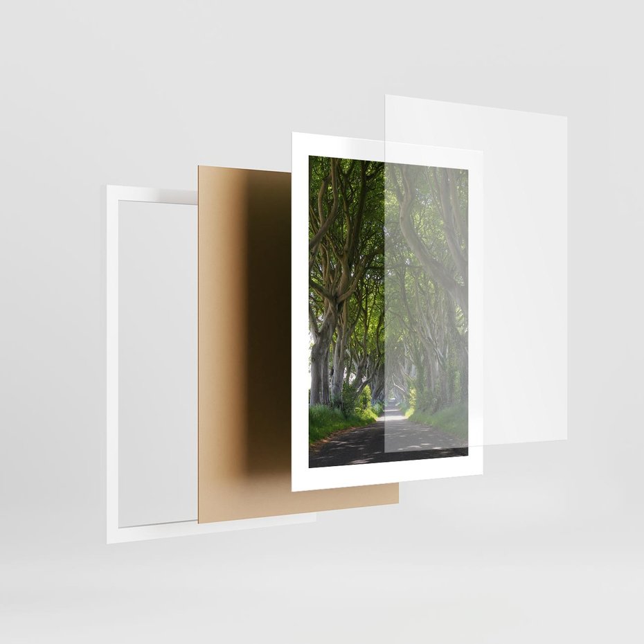 Plakat w ramie 30x40 - Magiczny Las - drzewa, las - rama biała