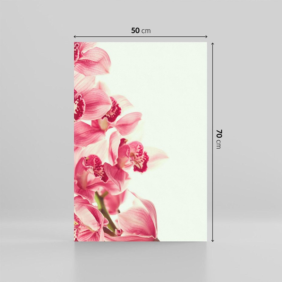 Obraz na płótnie 50x70 - Orchidea - delikatne kwiaty - orchidea, kwiaty