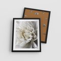 Plakat w ramie 40x50 - Białe Kwiaty Delikatności - białe, kwiaty - rama czarna