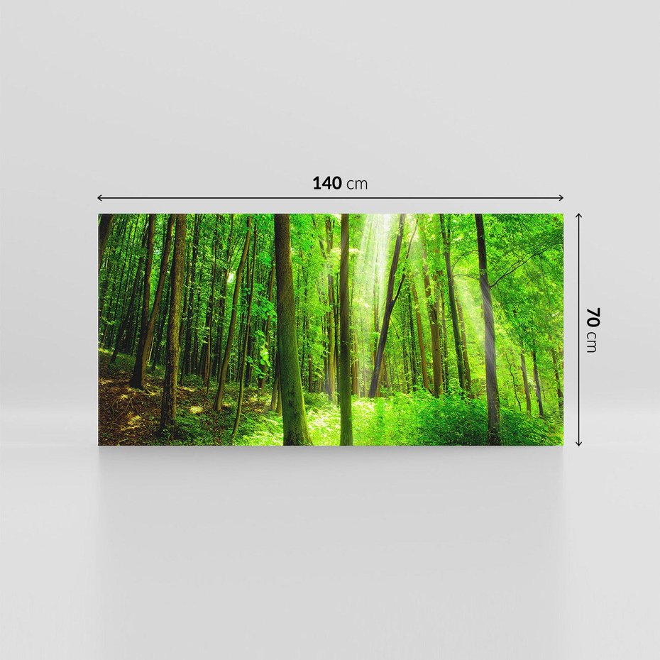 Obraz na płótnie 140x70 - Spacer po urokliwej dróżce w lesie - las, dróżka