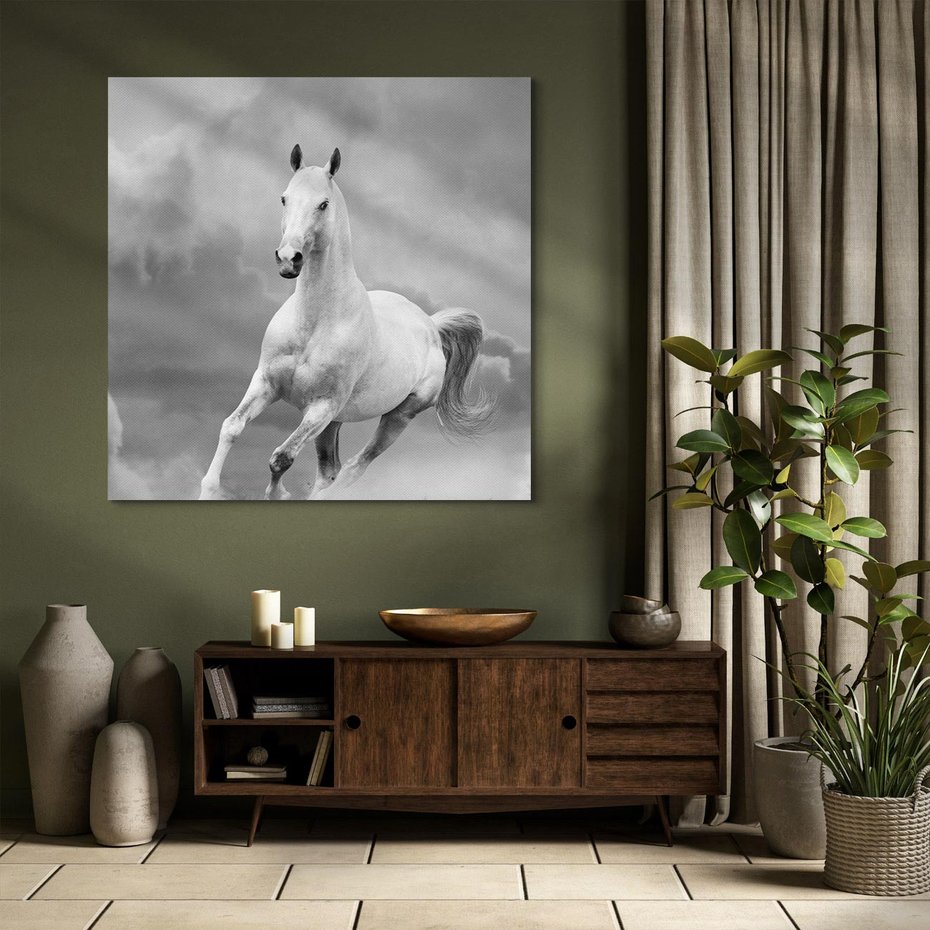 Obraz na płótnie 40x40 - Elegancja w Czarno-Białym - koń, biało