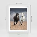 Plakat w ramie 40x50 - Siła koni w galopie - konie, galop - rama biała