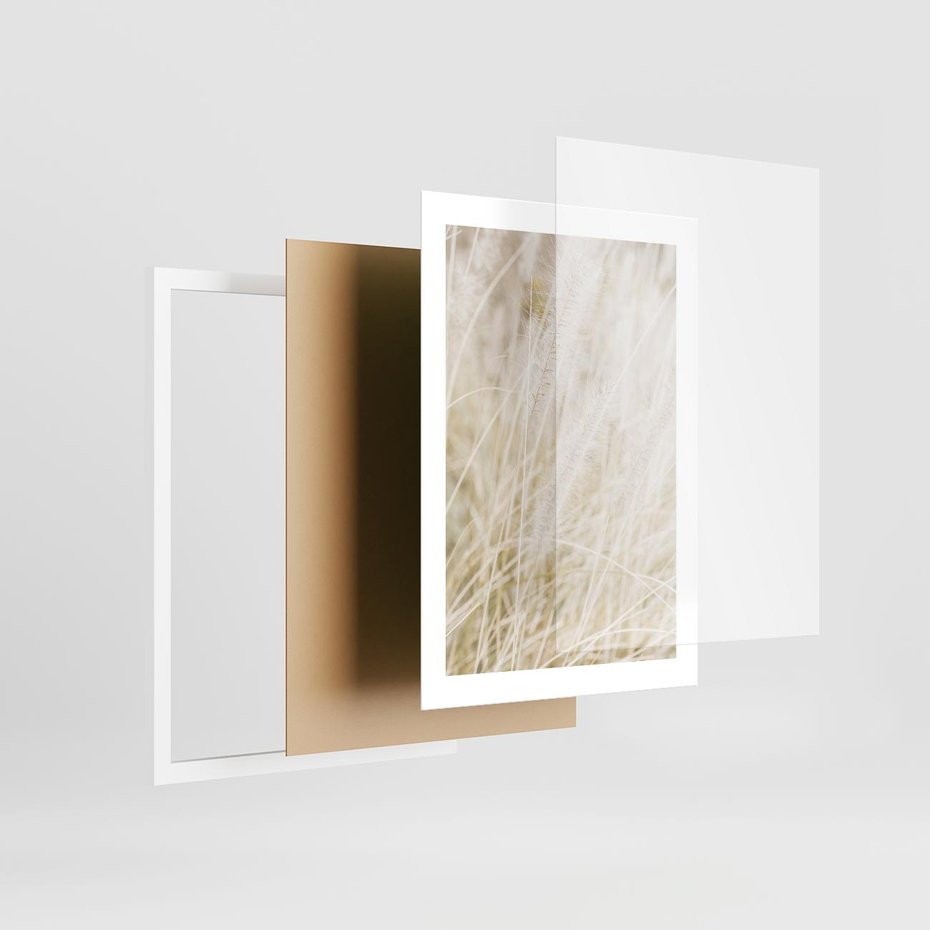 Plakat w ramie 30x40 - Białe Trawy Pampas - suche trawy, białe trawy - rama biała