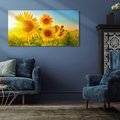 Obraz na płótnie 140x70 - kolorowe promienie - słoneczniki, kwiaty
