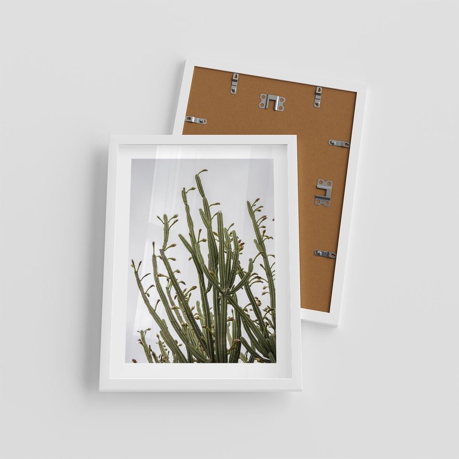 Plakat w ramie 30x40 - Ekskluzywna Roślinność - kaktusy, liście - rama biała