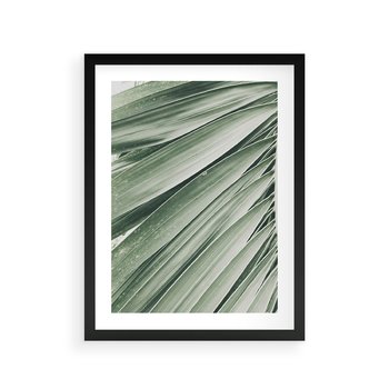 Plakat w ramie 50x70 - Tropikalna Oaza - zielony liść palmy, zieleń - rama czarna