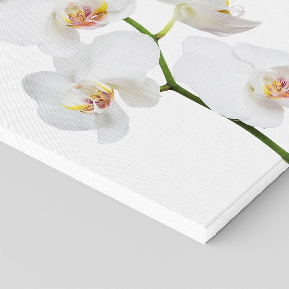 Obraz na płótnie 80x80 - Ekskluzywny Relaks - storczyk, spa