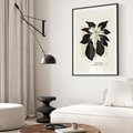 Plakat bez ramy 30x40 - Melancholia przerywanych linii - wiaty, typografia