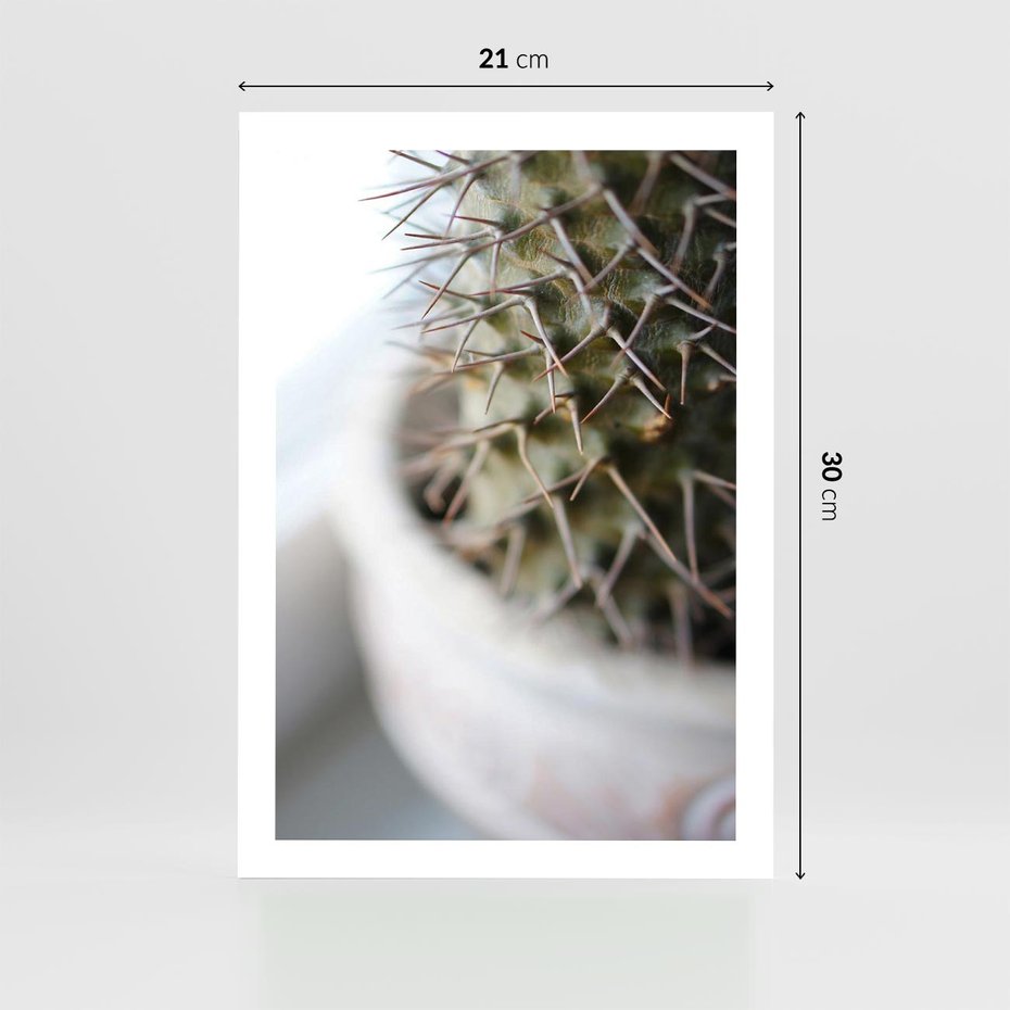 Plakat bez ramy 21x30 - Kaktus w Zbliżeniu - kaktus, igły
