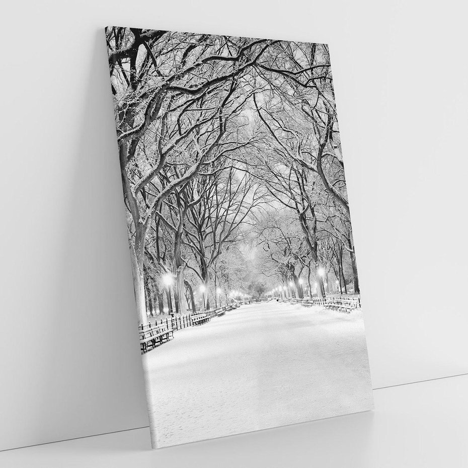 Obraz na płótnie 80x120 - cisza wśród drzew - zima, park