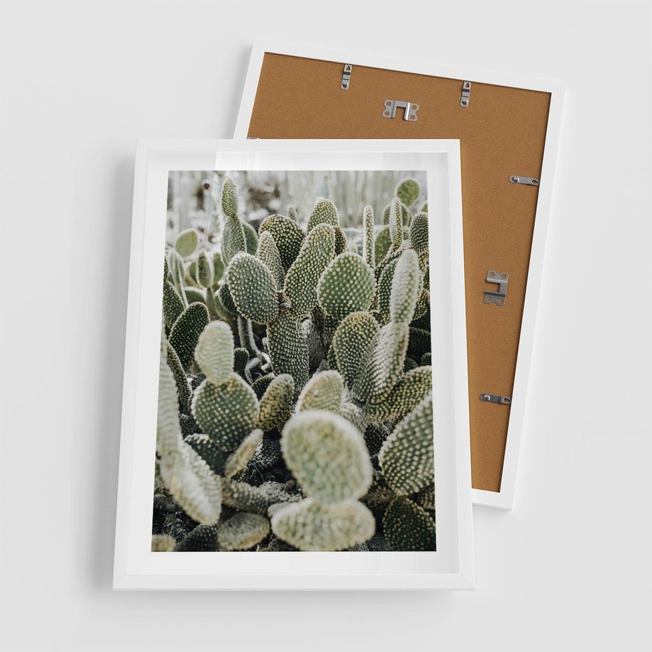 Plakat w ramie 50x70 - Kaktusowa Harmonia - kaktusy, fotografia - rama biała