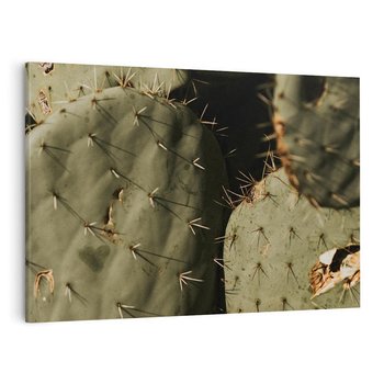 Obraz na płótnie 120x80 - Urok Egzotyki - kaktusy, boho