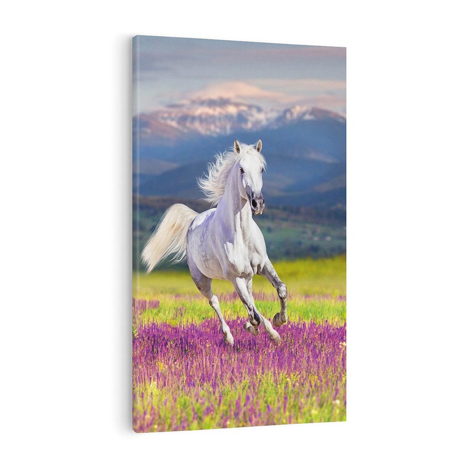 Obraz na płótnie 70x100 - Koń Góry: Spotkanie z Wielką Przyrodą - koń, góry