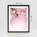Plakat w ramie 40x50 - Kwitnąca wiśnia: delikatność natury - kwitnąca, wiśnia - rama czarna