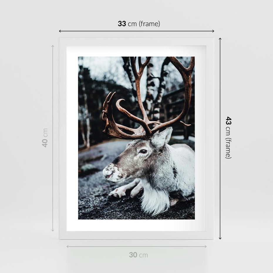 Plakat w ramie 30x40 - W Zimowej Krainie - renifer, zima - rama biała