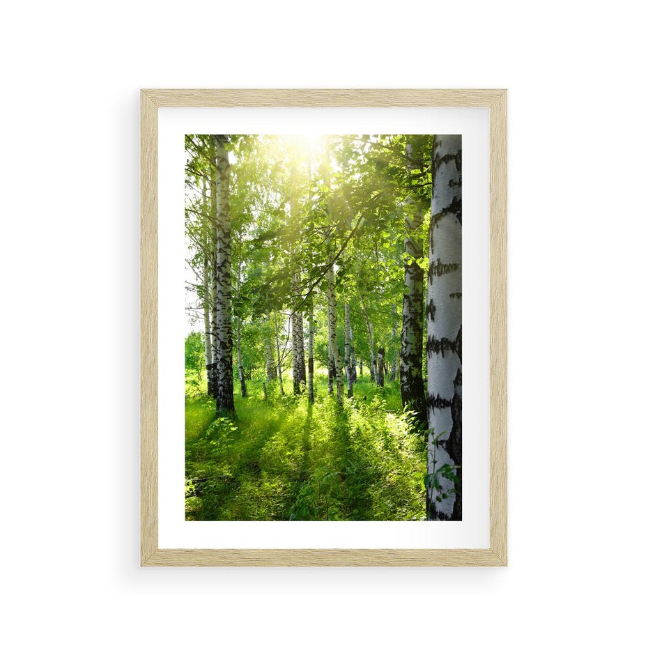 Plakat w ramie 30x40 - Lasowa Księżycowa Noc - las, drzewa - rama drewno