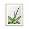 Plakat w ramie 40x50 - Zielone Piękno - aloes, liście - rama drewno