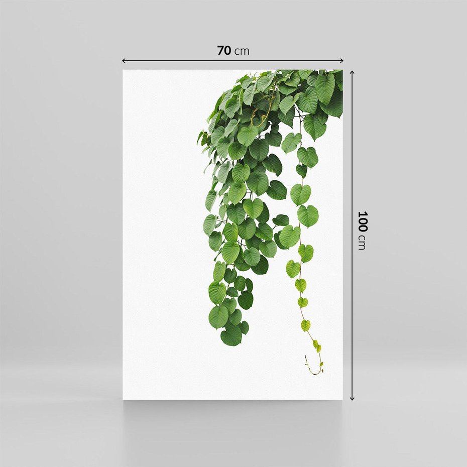 Obraz na płótnie 70x100 - Świeżość Natury - liście, zielone