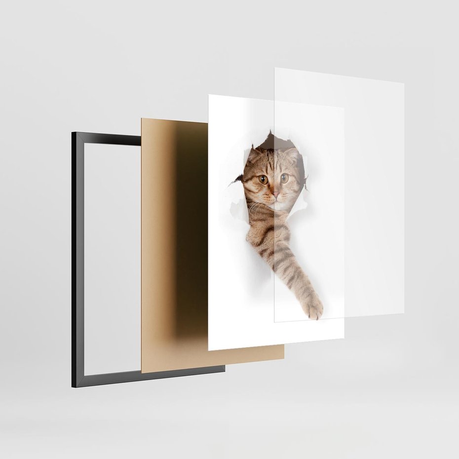 Plakat w ramie 50x70 - Kot w Dziurze - kot, dziura - rama czarna