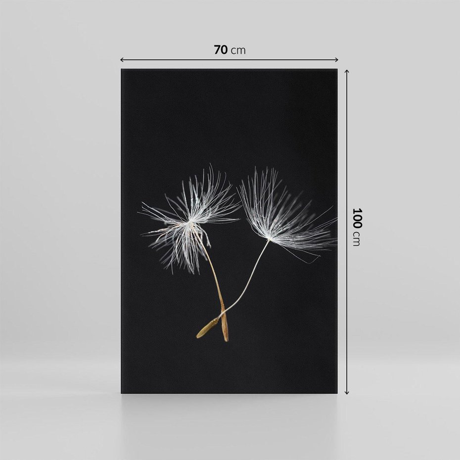 Obraz na płótnie 70x100 - Delikatność Wiatru - dmuchawce, makro