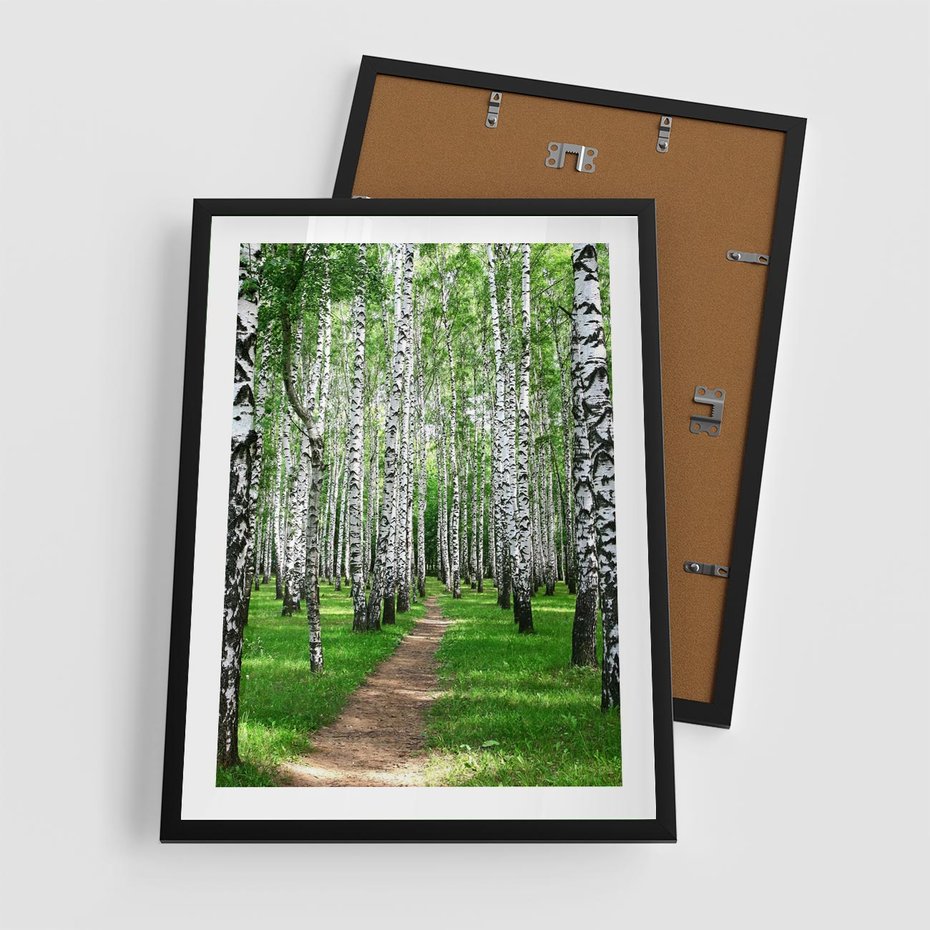 Plakat w ramie 50x70 - Bajkowy las pełen brzóz - las, brzozy - rama czarna