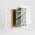 Zestaw obrazy w ramie 50x70 galeria - Palmy, liście, zielone - rama biała