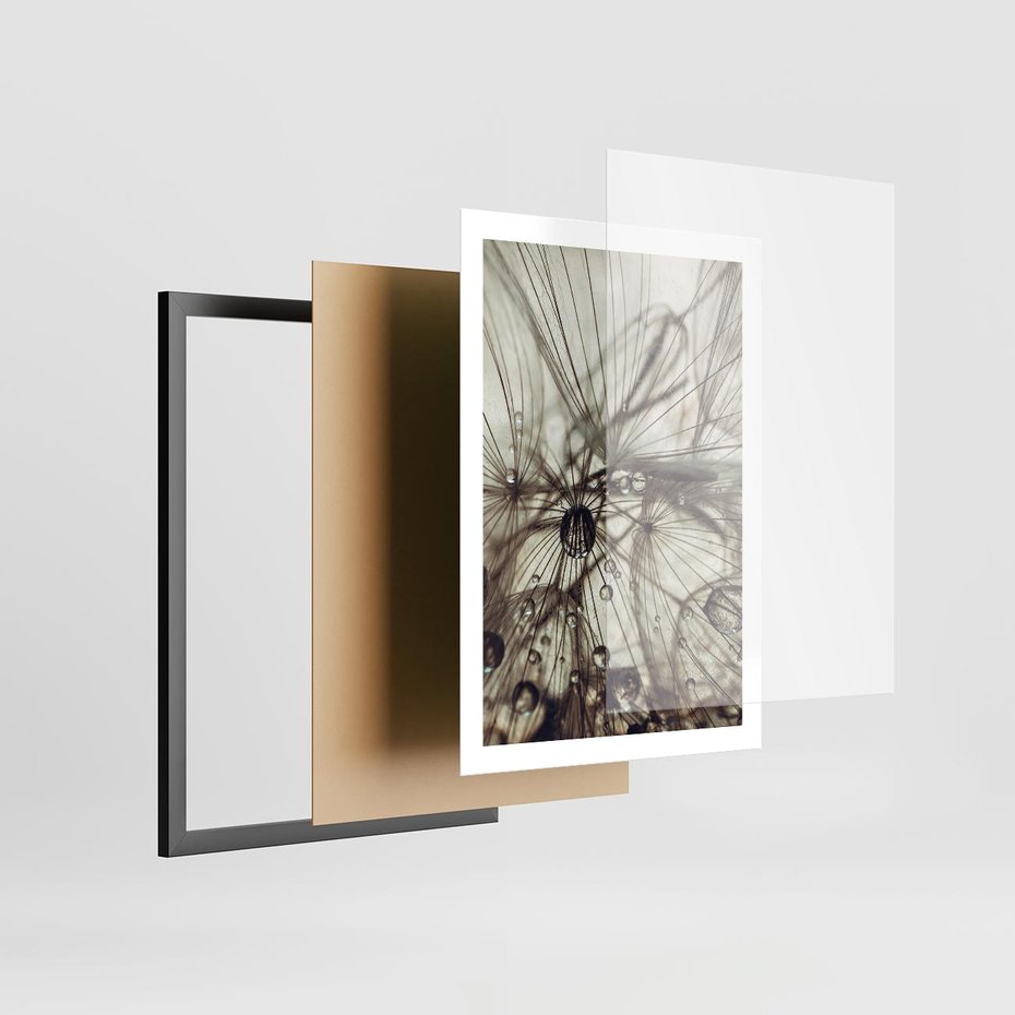 Plakat w ramie 50x70 - Lekkie dmuchawce - dmuchawce, krople - rama czarna