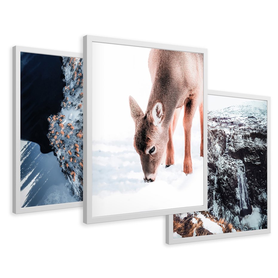 Zestaw obrazy w ramie 50x70 galeria - Sarna, zima, w, górach - rama biała