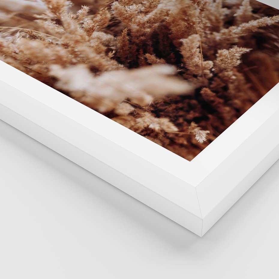 Plakat w ramie 40x50 - Sztuka Suszonych Traw - trawa pampas, suszone trawy - rama biała