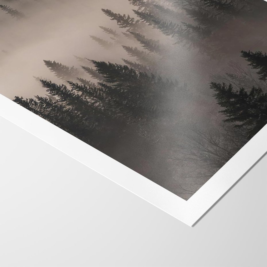 Plakat bez ramy 21x30 - Mglista Opowieść Lasu - las, mgła