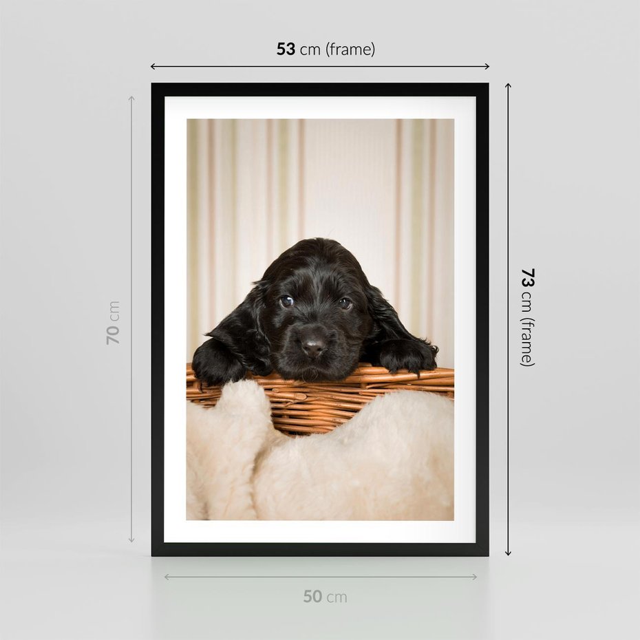 Plakat w ramie 50x70 - Uroczy szczeniak w akcji - piesek, szczeniak - rama czarna