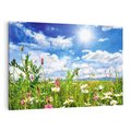 Obraz na płótnie 70x50 - Niebiańska łąka pełna kwiatów - łąka, niebo