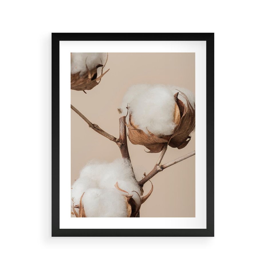 Plakat w ramie 40x50 - Bawełniana melancholia - bawełna, suche - rama czarna