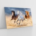 Obraz na płótnie 100x70 - Siła i elegancja - konie, galop