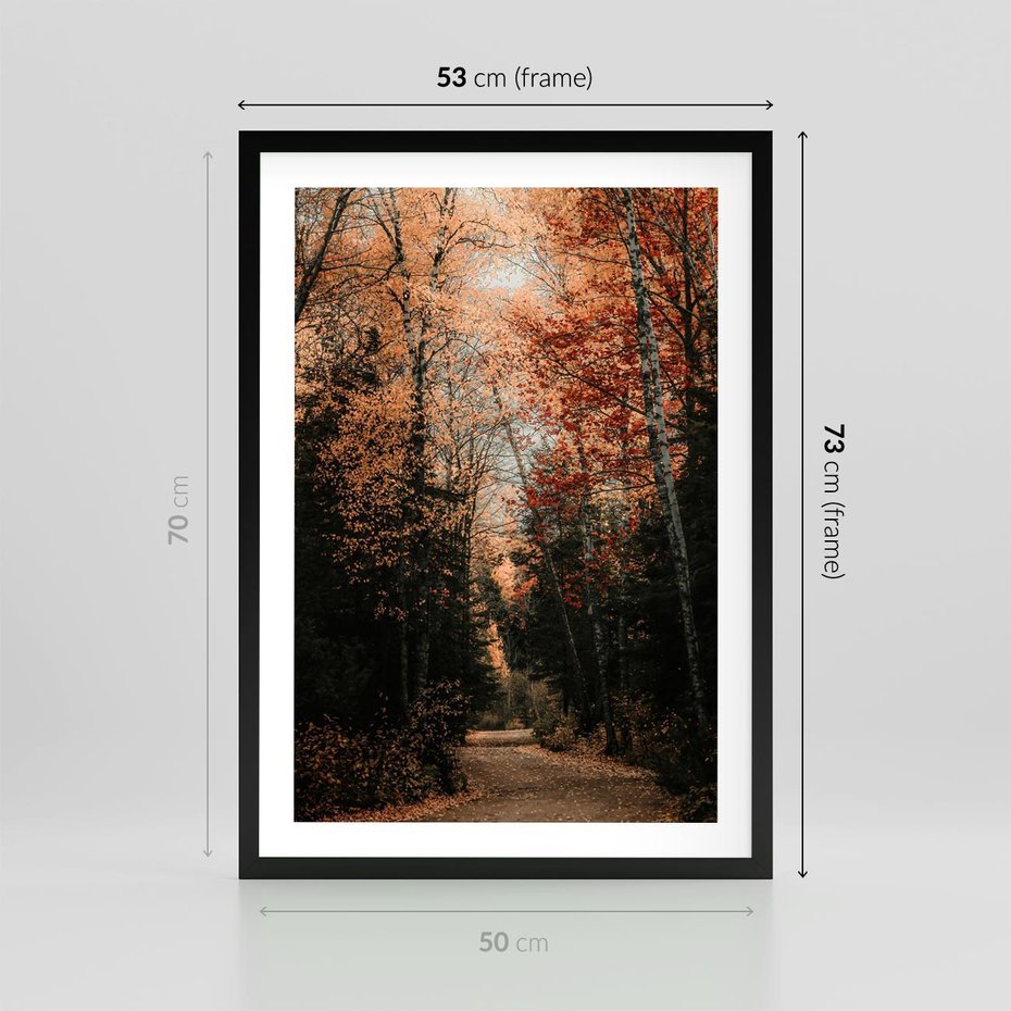Plakat w ramie 50x70 - Drzewa w Czerwonych Liściach - las, jesienny las - rama czarna