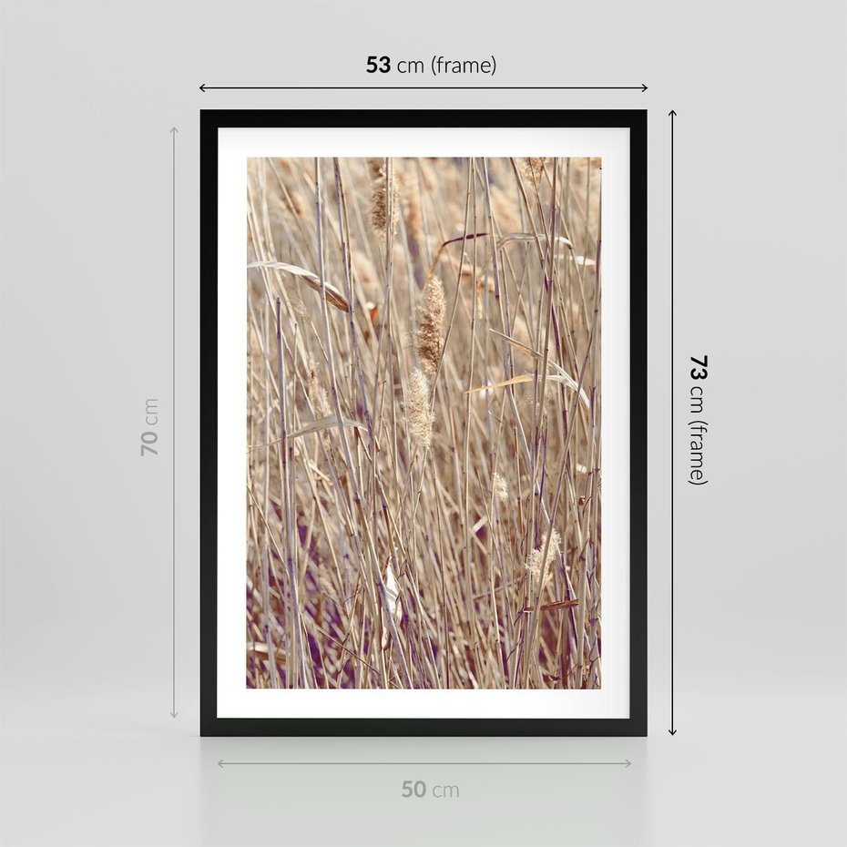 Plakat w ramie 50x70 - Suche Trawy w Wyjątkowym Stylu - suche trawy, boho styl - rama czarna