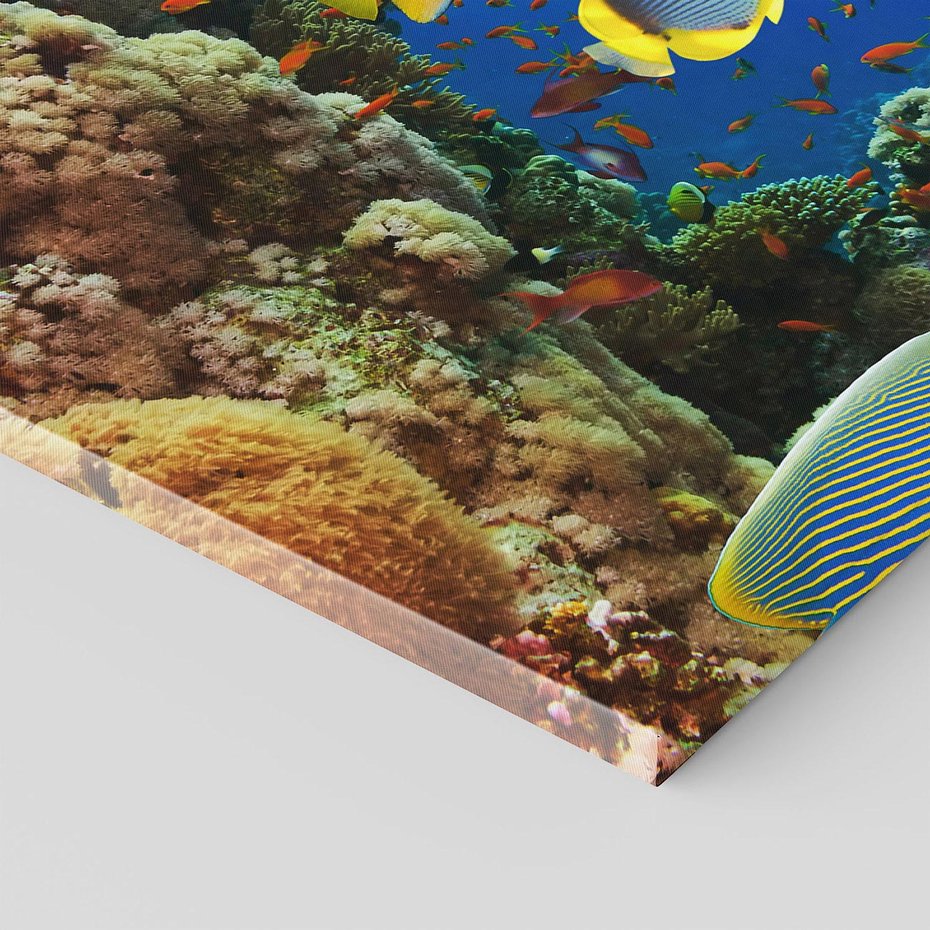 Obraz na płótnie 100x70 - Podwodne królestwo rafy koralowej - rafa, koralowa
