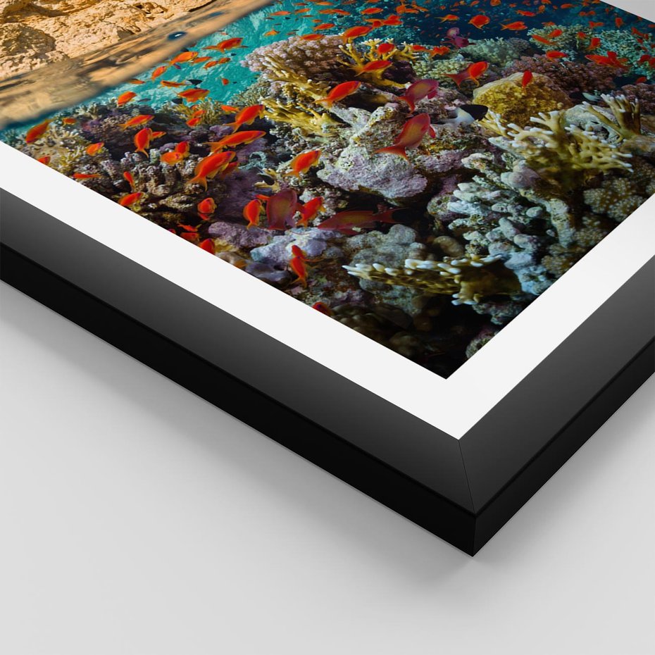 Plakat w ramie 50x70 - Rafa koralowa w oceanie - rafa, koralowa - rama czarna