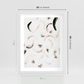 Plakat w ramie 30x40 - Kompozycja z Piór - pióra, kompozycja - rama biała