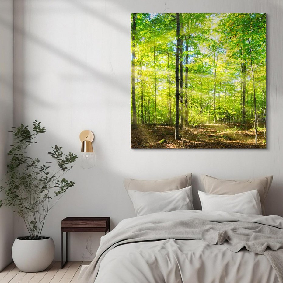 Obraz na płótnie 40x40 - Drzewa w harmonii - las, drzewa