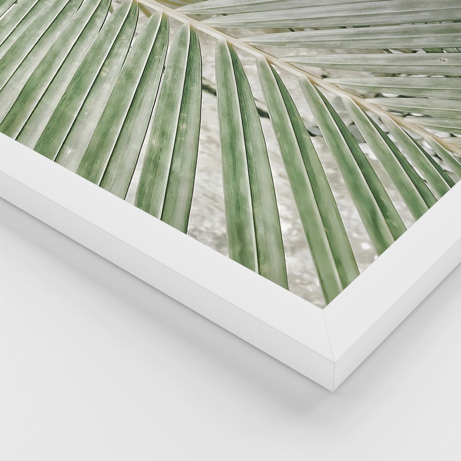 Zestaw obrazy w ramie 40x50 galeria - Liście, palma, tropikalne - rama biała