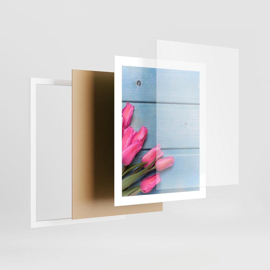 Plakat w ramie 40x50 - Piękno w pełnym rozkwicie - kwiaty, tulipany - rama biała