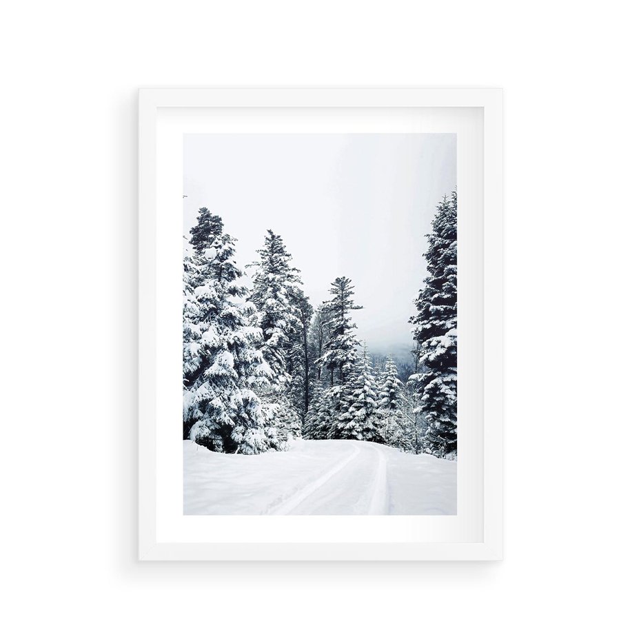 Plakat w ramie 30x40 - Zimowy Las Pod Kołdrą - las, zima - rama biała