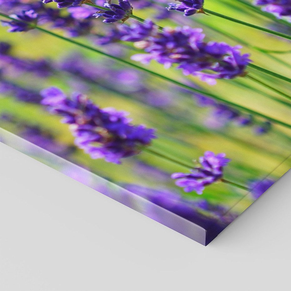 Obraz na płótnie 80x120 - Lawenda w naturze - lawenda, kwiaty