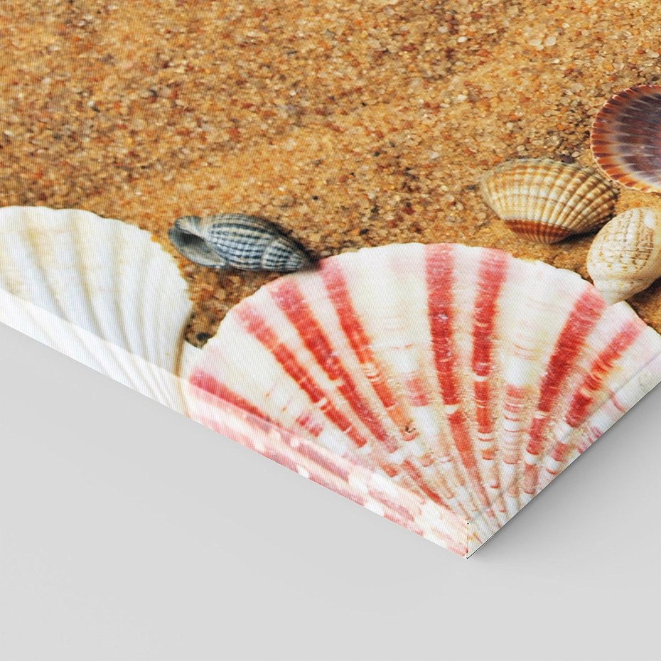 Obraz na płótnie 140x70 - Muszelki na malowniczej plaży - muszle, muszelki