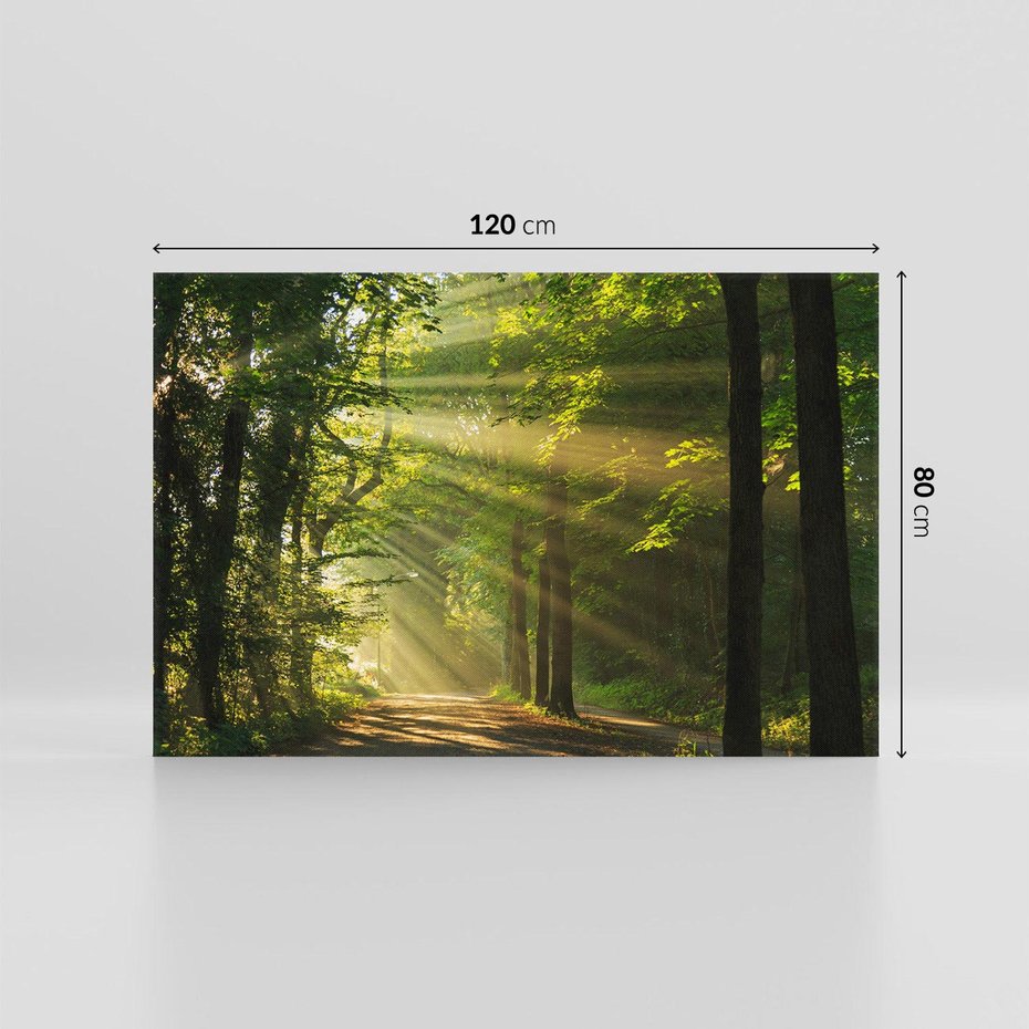 Obraz na płótnie 120x80 - Siła Natury: Las i Drzewa - las, drzewa