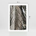Plakat bez ramy 21x30 - Egzotyczne Gałęzie - suche gałęzie, liście palmy