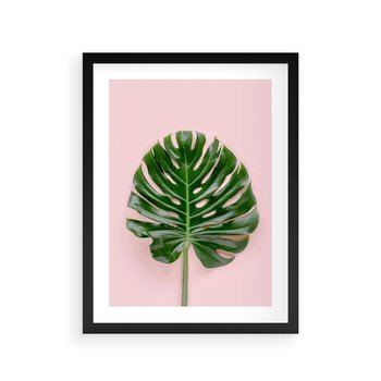 Plakat w ramie 40x50 - Monstera w Różowym Świetle - liść monstery, różowe tło - rama czarna