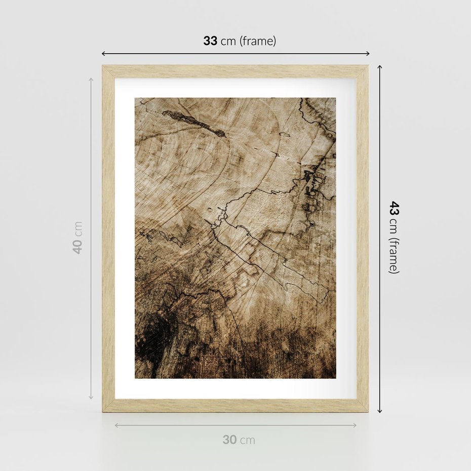 Plakat w ramie 30x40 - Słoje Natury - słoje drzewa, pieńdrzewa - rama drewno
